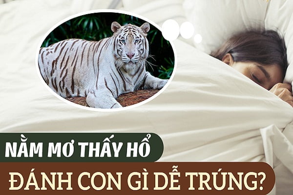 Giải Mã Giấc Mơ Thấy Hổ: Điềm Báo Tâm Linh và Con Số May Mắn Cùng Gemwin